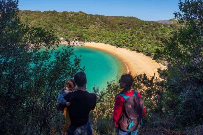 Abel Tasman National Park: Waka & Walk Tour - Deep Dive into the Itinerary