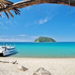 Abel Tasman: Sea Shuttle Cruise and Walking Tour Combo - What Makes This Tour Special?
