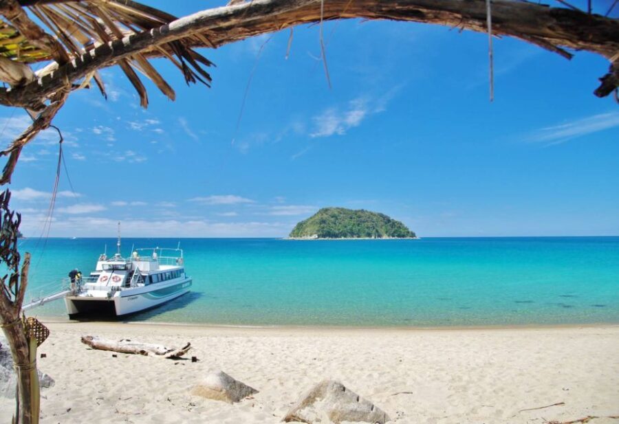 Abel Tasman: Sea Shuttle Cruise and Walking Tour Combo - What Makes This Tour Special?
