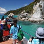 Abel Tasman Vista Cruise - Tonga Island Marine Reserve and Wildlife