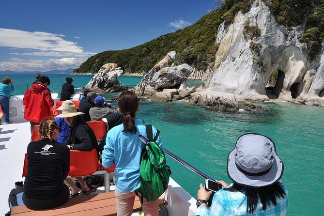 Abel Tasman Vista Cruise - Tonga Island Marine Reserve and Wildlife