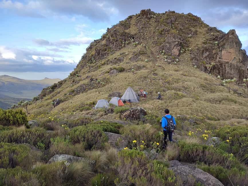 Aberdare Highlands: North to West Trekking Experience - Practical Details and What to Expect