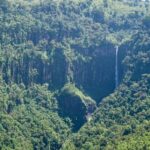 Aberdare National Park Day Trip from Nairobi - What Sets This Tour Apart?