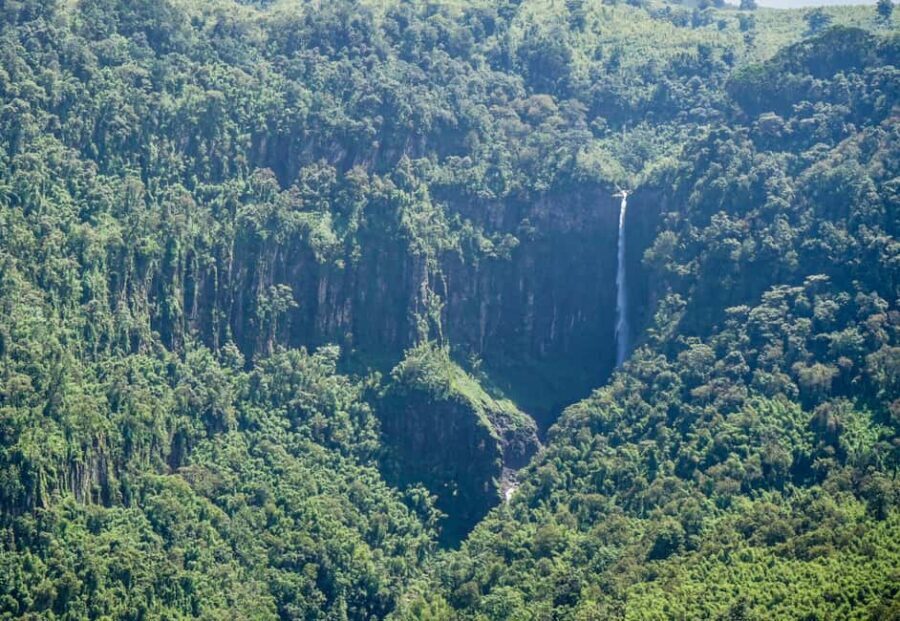 Aberdare National Park Day Trip from Nairobi - What Sets This Tour Apart?