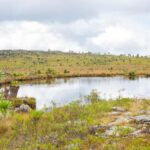 Aberdares: Seven Ponds Guided Hike with Views - The Experience in Detail