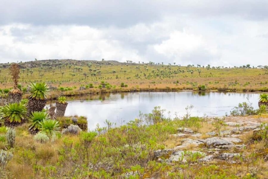 Aberdares: Seven Ponds Guided Hike with Views - The Experience in Detail