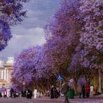 Abha City Tour & Rijal Almaa - What to Expect on the Day