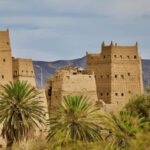 Abha: Guided Tour with Gardens, Art Street, & Shamsan Castle - What’s Included and What to Consider