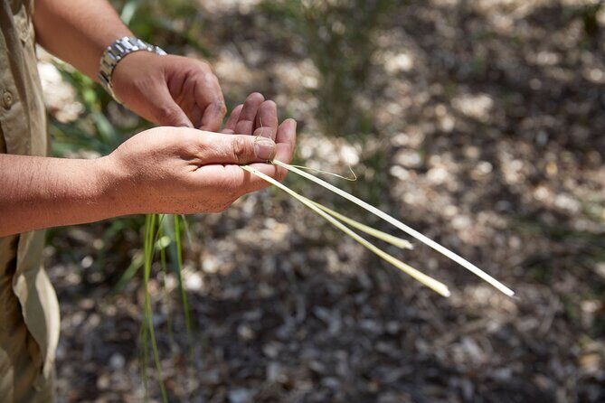 Aboriginal Heritage Walk - Royal Botanic Gardens Victoria, Melbourne Gardens - Final Thoughts