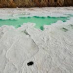 Abu Dhabi: Fossil Dune, Salt Lake and Camel Race Track Tour - Practical Details and Travel Tips