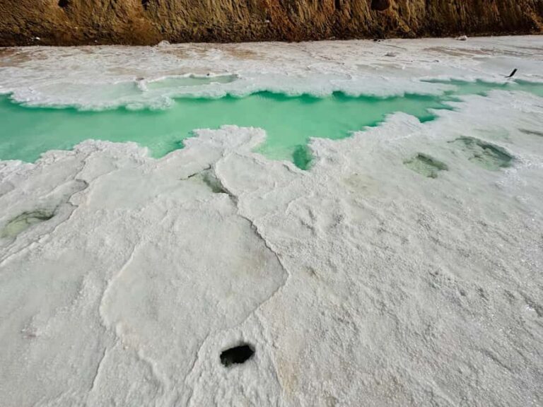 Abu Dhabi: Fossil Dune, Salt Lake and Camel Race Track Tour - Practical Details and Travel Tips