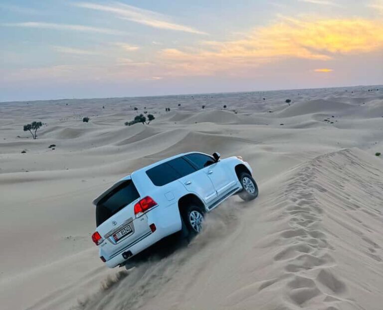 Abu Dhabi: Magical 4x4 Desert Tour Camel Ride & Sandboarding - Final Thoughts