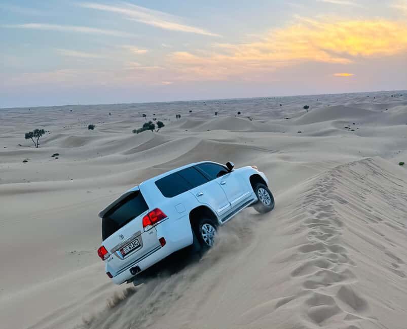 Abu Dhabi: Magical 4x4 Desert Tour Camel Ride & Sandboarding - Final Thoughts