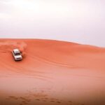 Abu Dhabi: Morning Dune Drive, Camel Ride & Sandboarding - The Activities in Detail