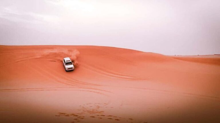 Abu Dhabi: Morning Dune Drive, Camel Ride & Sandboarding - The Activities in Detail