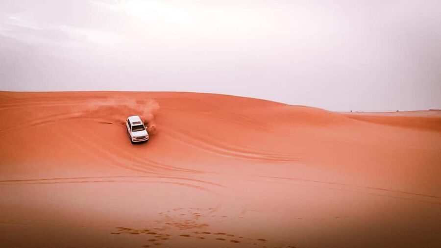 Abu Dhabi: Morning Dune Drive, Camel Ride & Sandboarding - The Activities in Detail