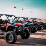 Abu Dhabi: Morning Self-Drive Dune Buggy Experience - What You Can Expect From This Tour