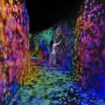 Abu Dhabi: teamLab Phenomena Entry Ticket - Practical Tips for Visiting