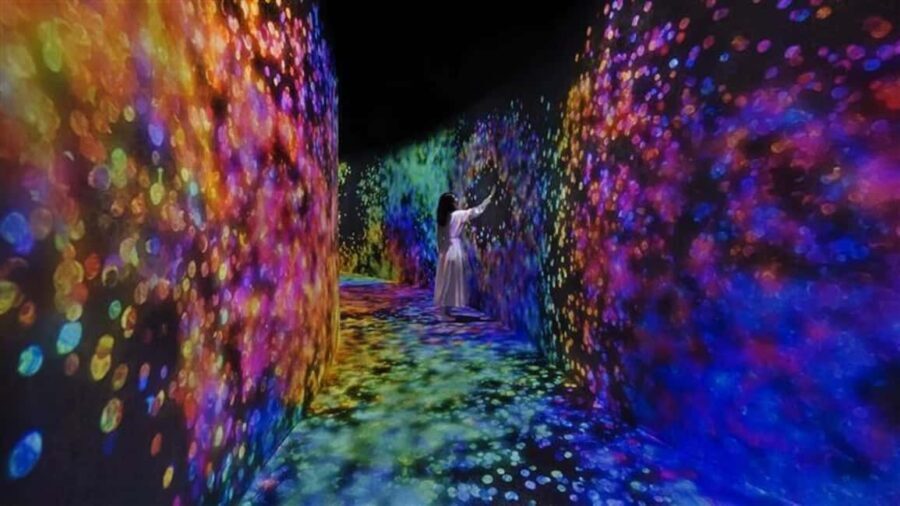 Abu Dhabi: teamLab Phenomena Entry Ticket - Practical Tips for Visiting