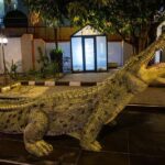 Abuja: Discovery Museum Tour with Hotel Pickup - The Practical Details