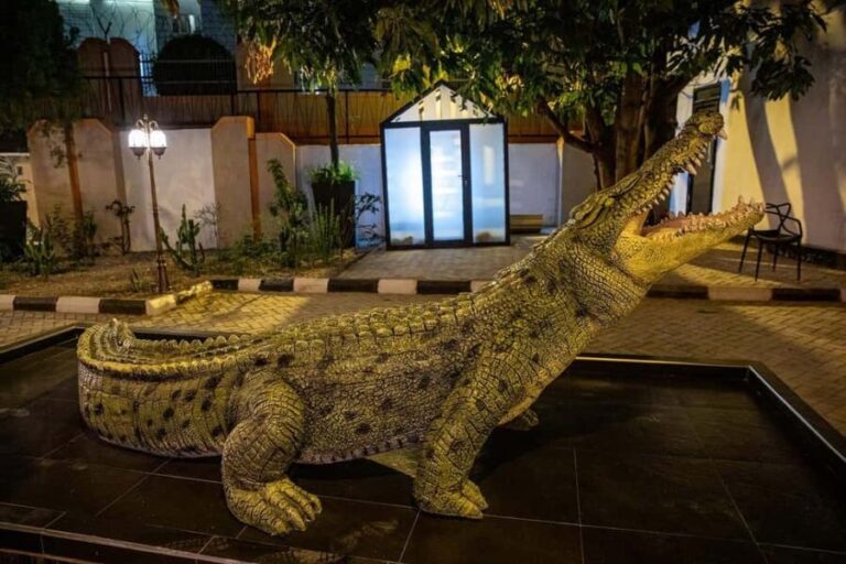 Abuja: Discovery Museum Tour with Hotel Pickup - The Practical Details