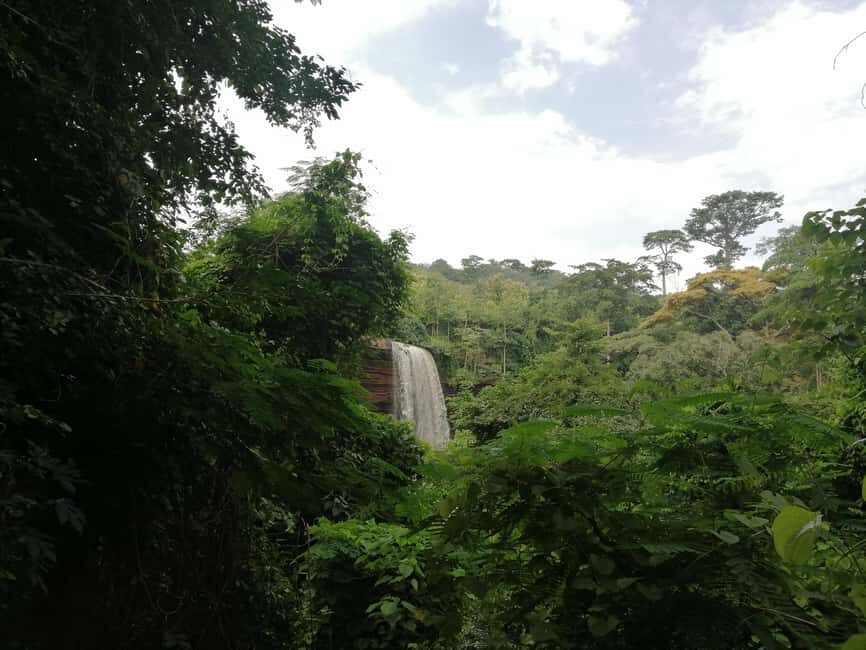 Accra: Aburi Botanical Gardens and Waterfalls Private Tour - A Closer Look at the Itinerary and Highlights