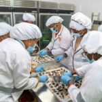 Accra: Ghanaian Chocolate Tasting Tour - The Itinerary Breakdown