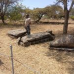 Adadi Mariam & Tiya Stelae Day Trip - Final Thoughts: Is It Worth It?