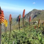Addis Ababa: 10-Day Simien Mountains & Lalibela Tour - Real Traveler Insights and Practical Details