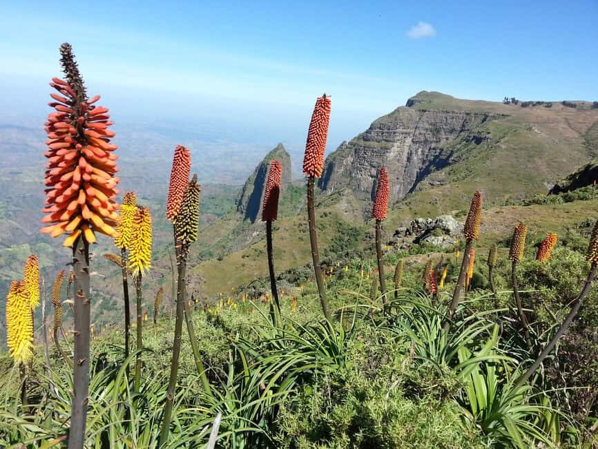Addis Ababa: 10-Day Simien Mountains & Lalibela Tour - Real Traveler Insights and Practical Details
