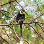 Addis Ababa: 2-Day Awassa, Lake Ziway & Wondo Genet Tour - What’s Included & What’s Not