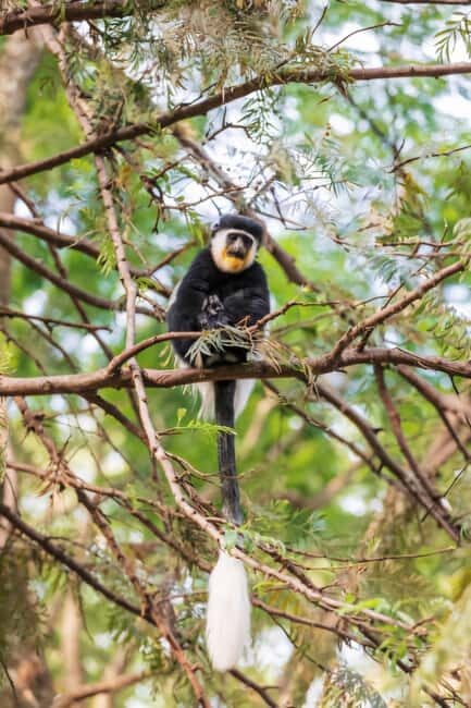 Addis Ababa: 2-Day Awassa, Lake Ziway & Wondo Genet Tour - What’s Included & What’s Not