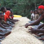 Addis Ababa: 4-Day Ethiopia Coffee Tour - Logistics and Practicalities