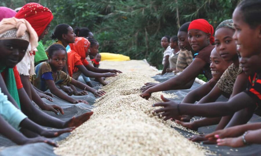 Addis Ababa: 4-Day Ethiopia Coffee Tour - Logistics and Practicalities