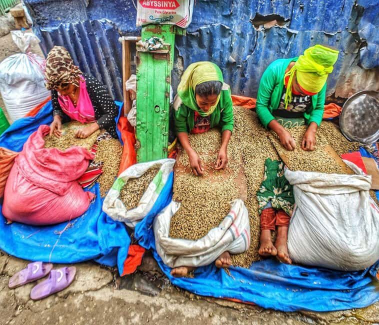 "Addis Uncovered: Culture, Views & Everyday Vibes - Transportation and Pacing