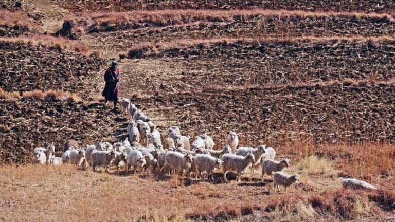 Addo Elephants with Lesotho & Drankensburg Hike 7-Day Tour - Who Should Consider This Tour?