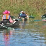 Addo River Safari - Guided Tour via Canoe - What the Tour Looks Like