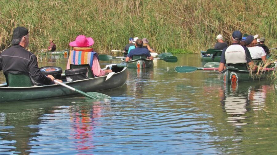 Addo River Safari - Guided Tour via Canoe - What the Tour Looks Like