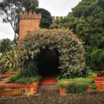 Adelaide: Barossa Private Wine Tour + Your Chosen Tastings - The Itinerary: What to Expect