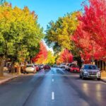 Adelaide City and Hahndorf Full Day Tour - Who Should Consider This Tour?