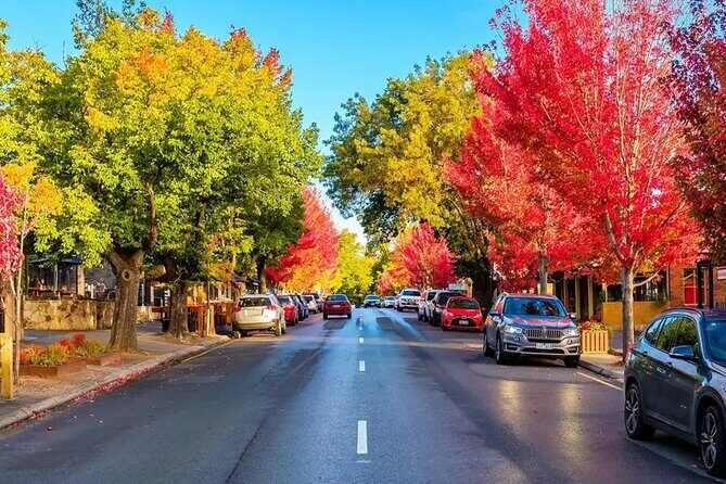 Adelaide City and Hahndorf Full Day Tour - Who Should Consider This Tour?