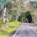 Adelaide City Highlights via Hahndorf Half-Day Tour - The Practical Details