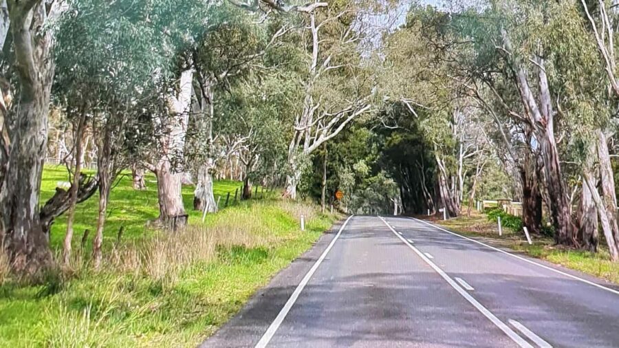 Adelaide City Highlights via Hahndorf Half-Day Tour - The Practical Details