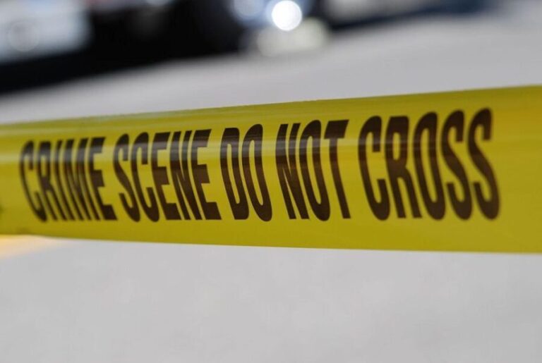 Adelaide: Dark Secrets and True Crime Walking Tour - The Value of the Tour