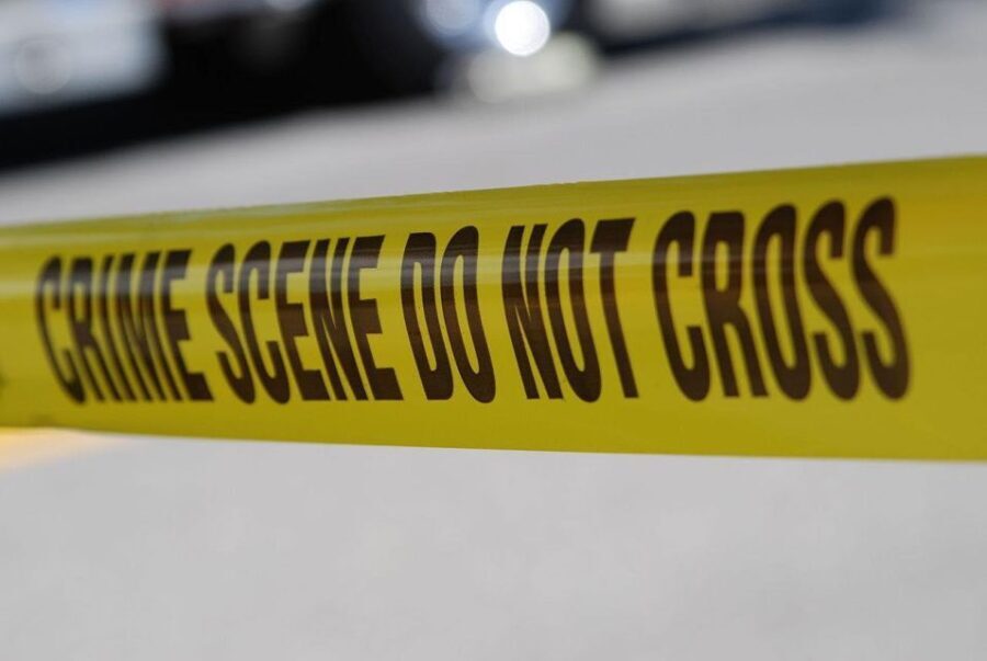 Adelaide: Dark Secrets and True Crime Walking Tour - The Value of the Tour