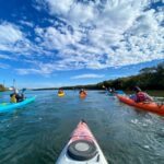 Adelaide: Dolphin Sanctuary Mangroves Kayak Tour - What the Reviews Tell Us