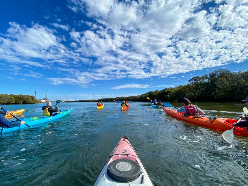 Adelaide: Dolphin Sanctuary Mangroves Kayak Tour - What the Reviews Tell Us