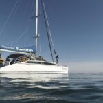 Adelaide: Glenelg Twilight Catamaran Cruise with Drink - What You Can Expect from the Glenelg Twilight Catamaran Cruise