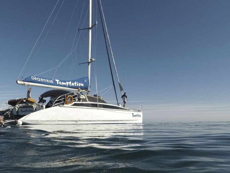 Adelaide: Glenelg Twilight Catamaran Cruise with Drink - What You Can Expect from the Glenelg Twilight Catamaran Cruise