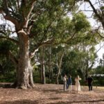 Adelaide: Guided Warriparinga Cultural and Historical Tour - A Deep Dive into the Experience